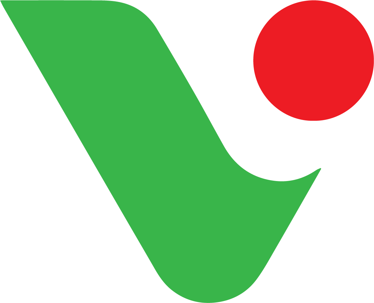 Vixtron Developers (U0 Ltd